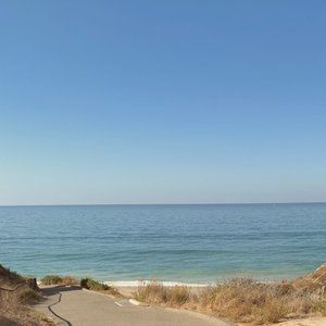 Meet your Posher, Yvonne